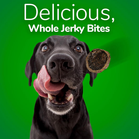 Fruitables Whole Jerky Bites Bacon & Apple Treats For Dogs (5 oz)