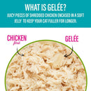 Tiki Cat Luau Lean Gelee Chicken Grain-Free Wet Food For Cats (2.8 oz x 12 Pouches)