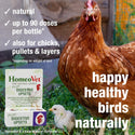 HomeoPet Avian Digestive Upsets For Poultry & Pet Birds (15 ml)