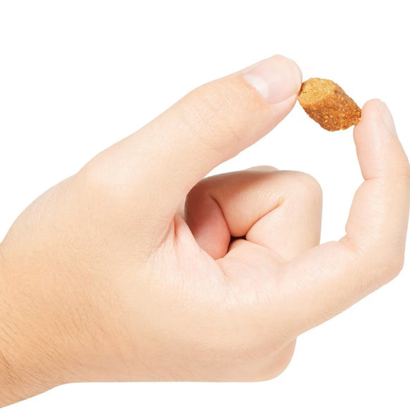 Go! Solutions Benefit Chews Sensitivies Limited Ingredient Salmon Recipe Soft & Chewy Treats for Dogs (6 oz)