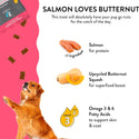 Shameless Pets Salmon Loves Butternut Jerky Bites Treats For Dogs (5 oz)