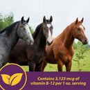 Horse Health Products Vita B-12 Crumbles Vitamin Supplement For Horses (3 lb)