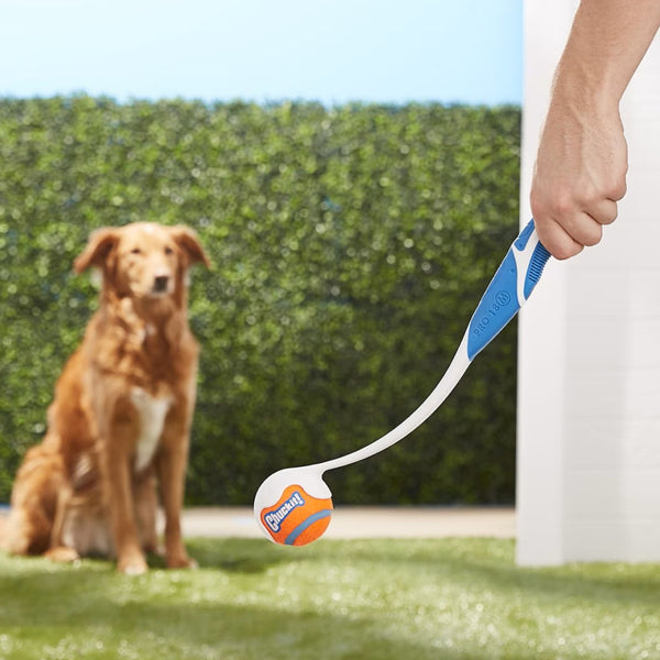 Chuckit! Sport Ball Launcher Toy For Dogs- 26L (color varies)