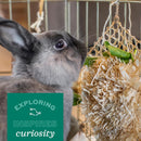 Oxbow Hide and Seek Mat For Small Animals - Small