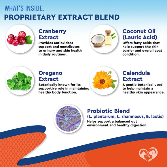 Beloved Pets Natural Yeast Infection Relief Immune & Inflammation Support for Dogs (2 oz)