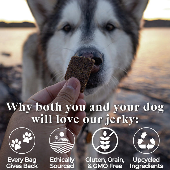 OTIS Wild Things Elk Jerky Treats for Dogs (4 oz)