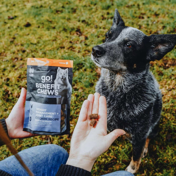 Go! Solutions Benefit Chews Weight Management + Joint Care Chicken Recipe Soft & Chewy Treats for Dogs (6 oz)