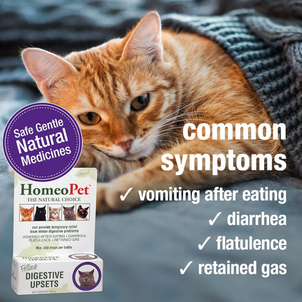 HomeoPet Feline Digestive Upsets For Cats (15 ml)