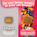 Fruitables Limited Ingredient Salmon with Cranberry Crunchy Treats For Cats