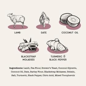 Dog Treat Naturals Superfood Sticks Lamb & Date Dog Treats (10 oz)