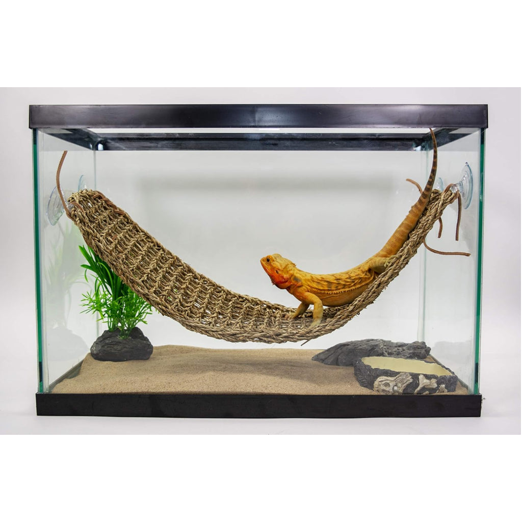 Penn-Plax Reptology Natural Lizard Lounger