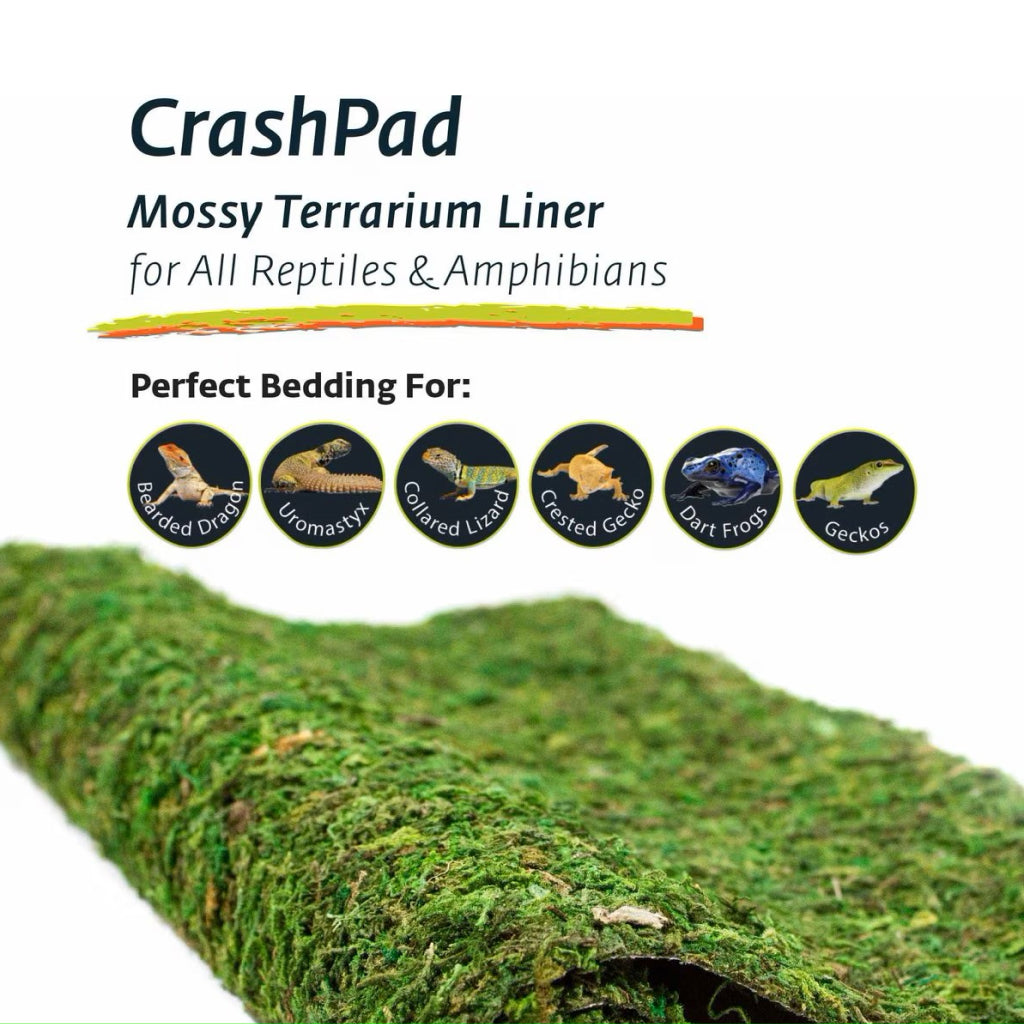 Galapagos CrashPad Mossy Terrarium Bedding Liner (18"x36")