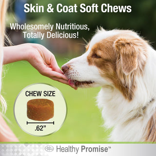 Four Paws Healthy Promise Supplements for Skin and Coat Soft Chews For Dogs (90 ct)