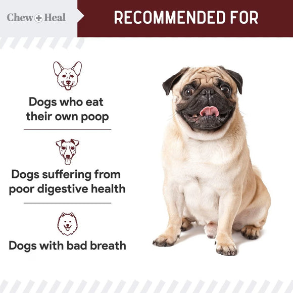 Chew + Heal Stop the Poo Chew Coprophagia Supplement for Dogs- Savory Lamb Flavor (120 Count)