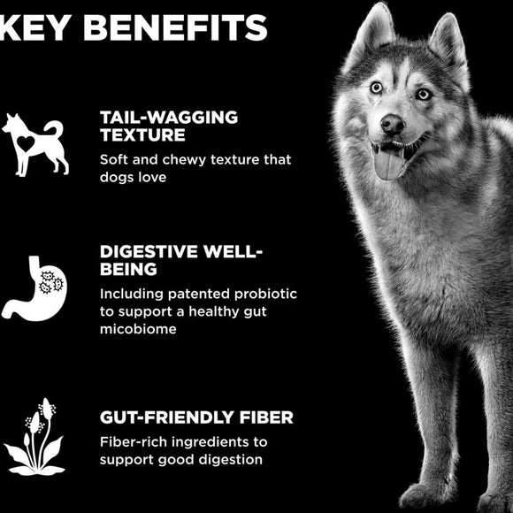Go! Solutions Benefit Chews Digestion + Gut Health Salmon Recipe Soft & Chewy Treats for Dogs (6 oz)