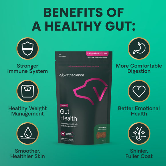 Gut Health Chews for Dogs