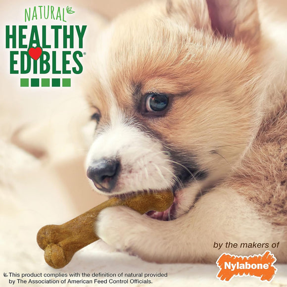 Nylabone Healthy Edibles Puppy Natural Lamb & Apple Flavor Puppy Chew Treats- X-Small/Petite (8 ct)
