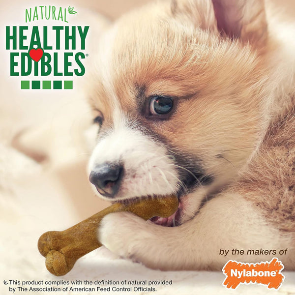 Nylabone Healthy Edibles Puppy Natural Lamb & Apple Flavor Puppy Chew Treats- X-Small/Petite (8 ct)