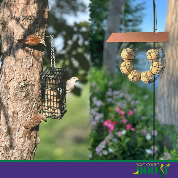 Backyard Boost Songbird Balls| Bird Seed | HardyPaw