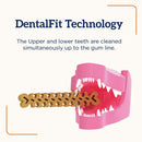 Groovies Senior Dental Chews for Dog