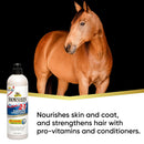 Absorbine Showsheen 2-in-1 Shampoo & Conditioner For Horses (20 oz)