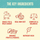 Stella & Chewy's Perfectly Beef & Salmon Dinner Patties Freeze-Dried Raw Food For Puppies (5.5 oz)