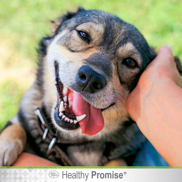 Four Paws Healthy Promise Aloe Ear Mite Treatment For Dogs (0.75 oz)