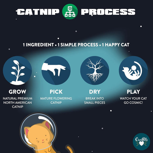 OurPets Cosmic Catnip