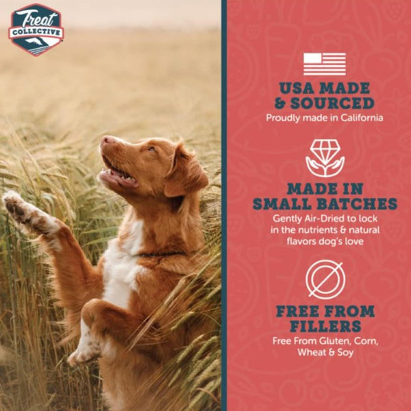 Treat Collective Salmon + Pomegranate Training Dog Treats (9 oz)