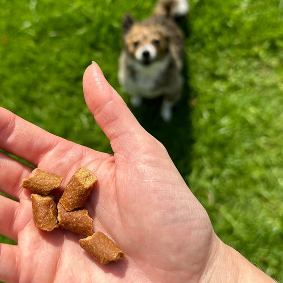 OTIS Wild Things Venison Trainers Bite-Sized Treats for Dogs (4 oz)