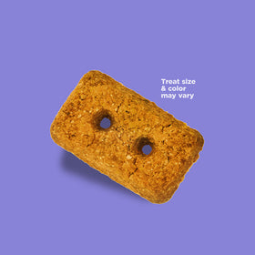 NutriSource Crunchy Crunchers Whitefish Dog Biscuits (14 oz)