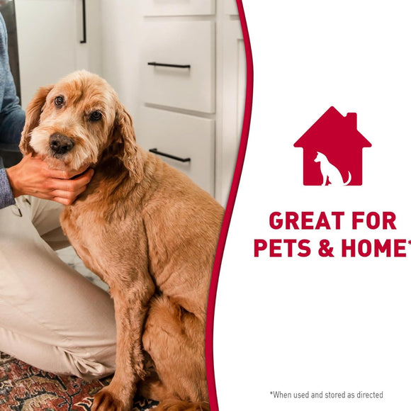 Nature's Miracle Dog Stain and Odor Remover Foam Aerosol Spray (17.5 oz)