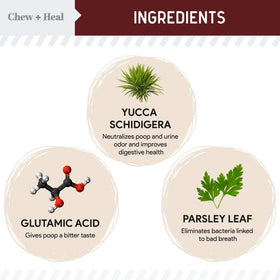 Chew + Heal Stop the Poo Chew Coprophagia Supplement for Dogs- Savory Lamb Flavor (120 Count)