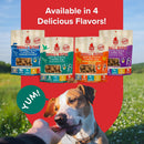 Plato Small Bites Grain-Free Duck Dogs Treats