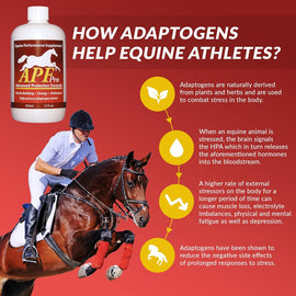 APF Pro Advanced Protection Formula Supplement for Horses