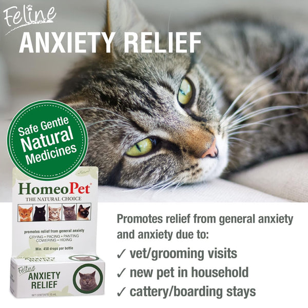 HomeoPet Feline Anxiety Relief For Cats (15 ml)