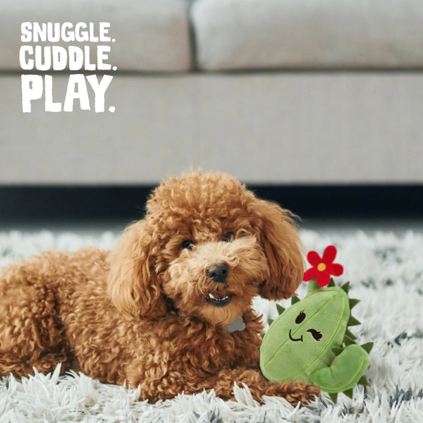 Snugarooz Chloe the Cactus Plush Dog Toy