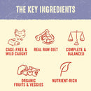 Stella & Chewy's Perfectly Puppy Chicken & Salmon Dinner Patties Freeze-Dried Raw Food (5.5 oz)