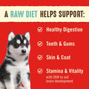 Stella & Chewy's Perfectly Beef & Salmon Dinner Patties Freeze-Dried Raw Food For Puppies (5.5 oz)