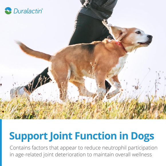 Duralactin® Canine Joint Health Supplement Soft Chews for Dogs