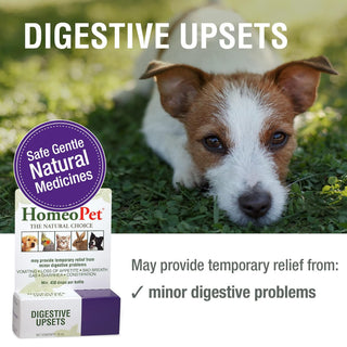 HomeoPet Digestive Upsets For Pets (15 ml)