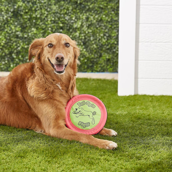 Booda Tail-Spin Flyer Soft Bite Frisbee Toy For Dogs- Color Varies