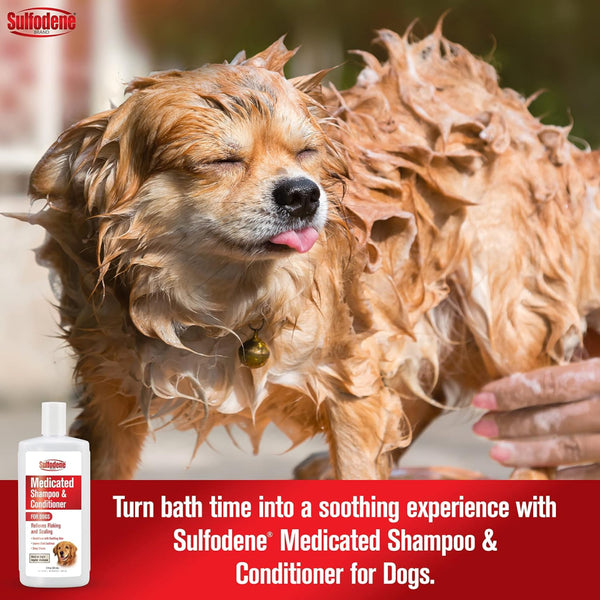 Sulfodene Medicated Shampoo & Conditioner For Dogs (12 oz)