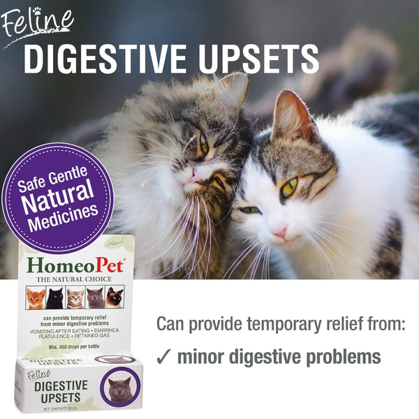 HomeoPet Feline Digestive Upsets For Cats (15 ml)