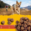 Zuke's Mini Naturals Salmon Recipe Training Treats for Dogs (6 oz)