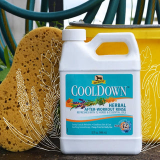 Absorbine cooldown herbal after-workout rinse