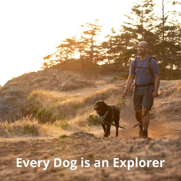 Ruffwear Front Range Dog Harness- Blue Pool