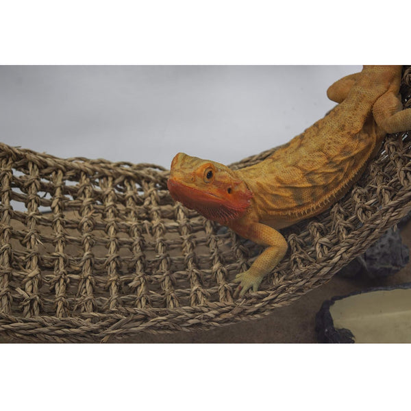 Penn-Plax Reptology Natural Lizard Lounger