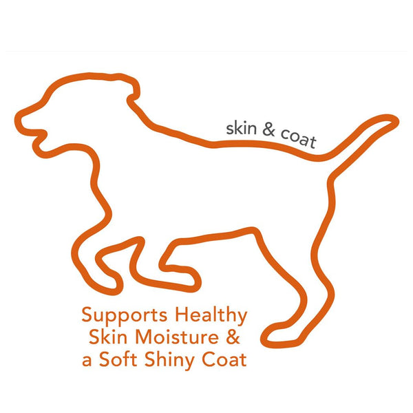 Vet's Best Skin & Coat Chews Supplement for Dogs (30 soft chews)