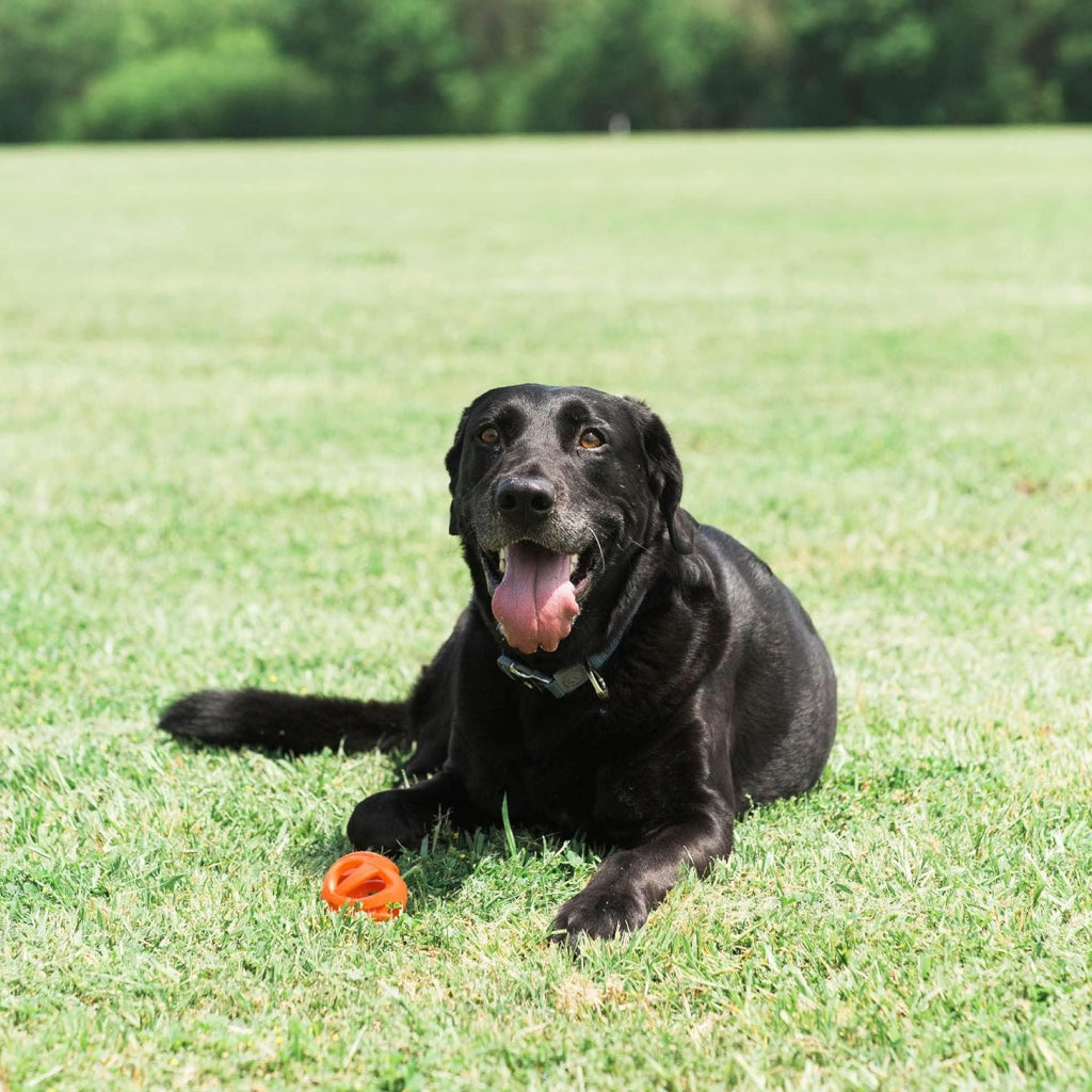 Chuckit! Air Fetch Ball Toy For Dogs - Medium (2 pack)